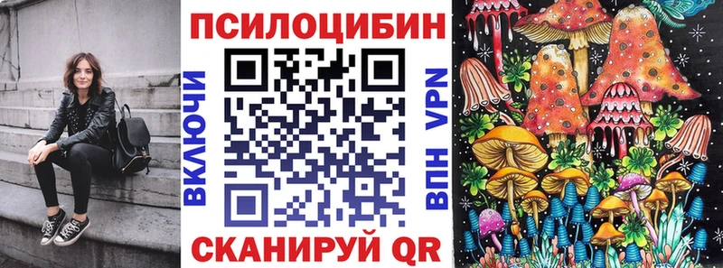 Галлюциногенные грибы Psilocybe  как найти наркотики  Иннополис 